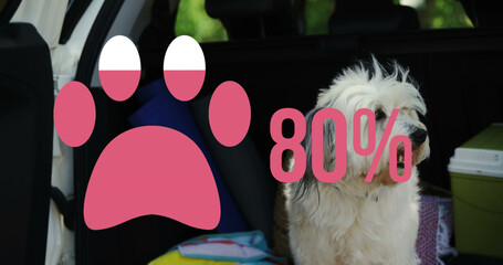 Paw icon with increasing percentage against dog sitting in the back of a car