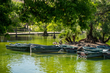 Boats with oars on the pond in the park Ciutadella, Barcelona, Spain