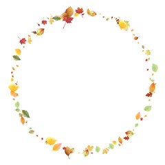 Leaves Falling Autumn Foliage Chaotic Leaf Flying