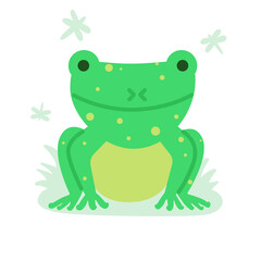Cute frog vector illustration. Flat style cartoon amphibian, funny froggy, rainforest animal in wild isolated on white background. Green toad sits