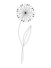 Abstract dandelion flower vector illustration isolated on white. Hand drawn floral design element for print, branding, card, poster. Line art minimal contemporary drawing.