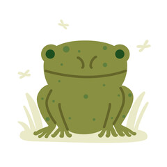 Cartoon frog vector illustration. Flat toad sitting, funny froggy. Animal wildlife, fun character isolated on white background