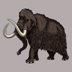 Fototapeta premium Prehistoric animals. Illustration with extinct Elephant - mammoth.