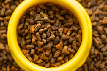 Fototapeta premium close up view of dry pet food in yellow bowl.