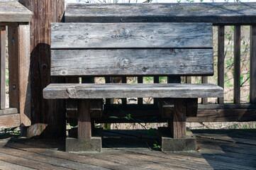 Fototapeta premium Bench in the Billy Frank Jr. Nisqually National Wildlife Refuge, WA, USA