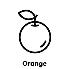 Orange linear icon, Vector, Illustration.