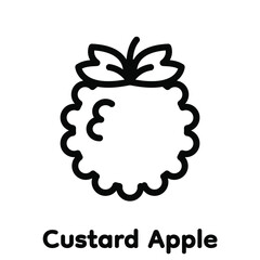 Custard apple linear icon, Vector, Illustration.
