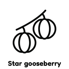 Star gooseberry linear icon, Vector, Illustration.