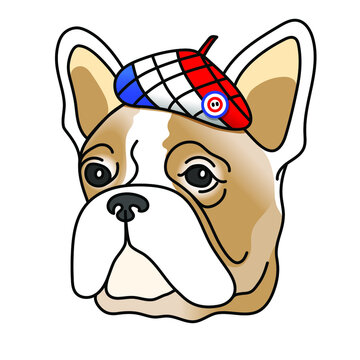 Head of a french bulldog in a beret in the color of the French flag. Blue, white, red color. Vector illustration. 