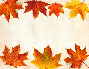 Maple leaves frame