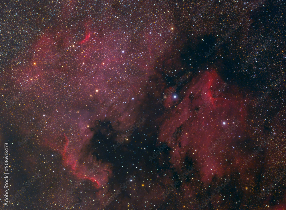 Wall mural the north america and pelican nebulae in the constellation of cygnus