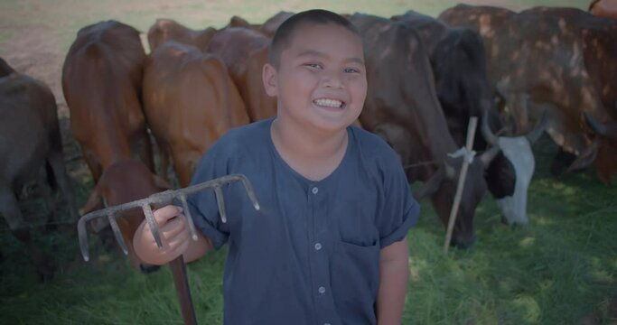 A slow motion happy smiling Asian farmer boy wearing traditional clothes who is the son of an Asian farmer family, standing and holding a rake helping the family feed the cows with fresh grass.
