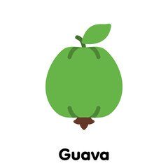 Guava fruit icon, Vector, Illustration .