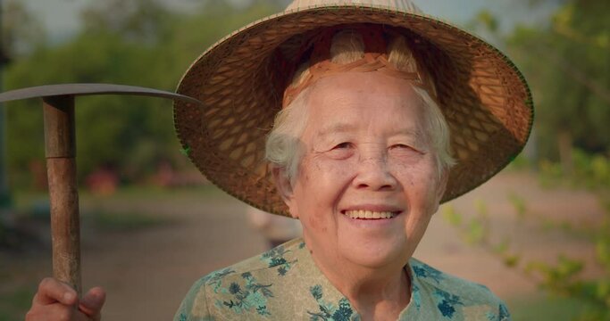 Slow motion scene of a happy smiling Asian female farmer who is an elderly person has bright white hair, wear weaving hat, standing with shovel while the golden light shining in the morning.