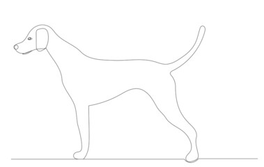 dog drawing by one continuous line, sketch, vector, isolated