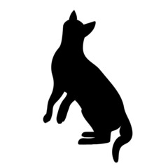 cat silhouette on white background, isolated, vector