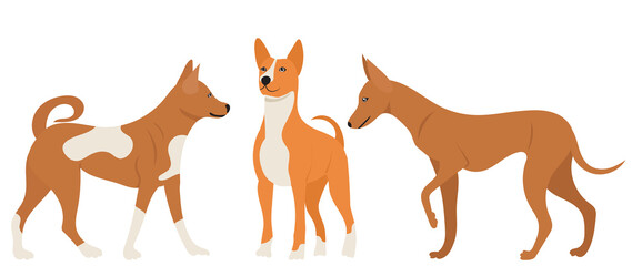 dogs in flat design isolated, vector