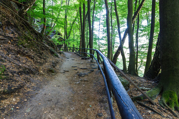Hiking trail to the Pravcicka Gate in the Bohemian Switzerland National Park, Czech Republic