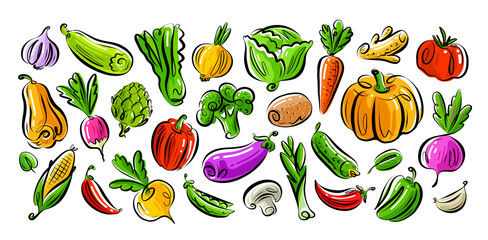 Vegetarian organic healthy food set. Farm vegetables collection. Vegan concept. Color vector illustration
