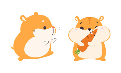 Obraz na płótnie Canvas Cute Hamster Character with Stout Body Walking and Eating Carrot Vector Set