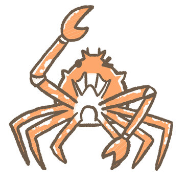 タカアシガニ Images – Browse 137 Stock Photos, Vectors, and