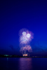 海面を染めて打ち上げられる花火