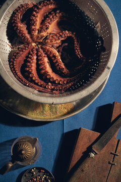 octopus on a table 