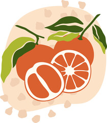 Poster with lemons. Citrus fruit. Set of lemons and oranges. Flat illustration. Vector engraving.