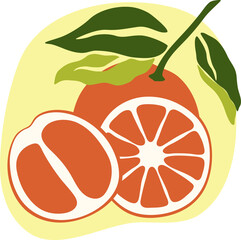 Poster with lemons. Citrus fruit. Set of lemons and oranges. Flat illustration. Vector engraving.