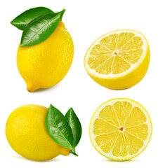 Fototapeta premium Lemon isolated on white background