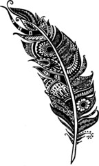 vector de pluma con dise&ntilde;o en su interior
