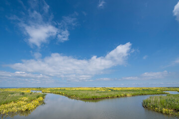 Obraz premium Marker Wadden