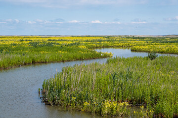 Marker Wadden