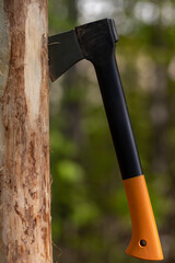 Ax stuck in a tree