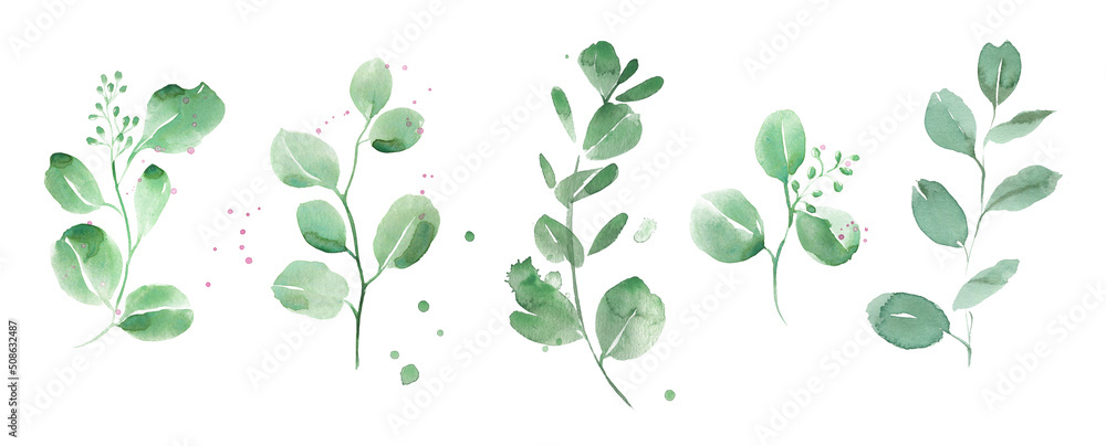 Wall mural watercolor eucalyptus clipart. emerald greenery. retro style.