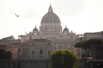 Fototapeta na wymiar Papal basilica Saint Peter in Vatican