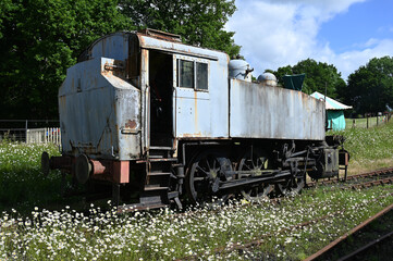 A rotting unused Tank engine in a siding in the UK. 