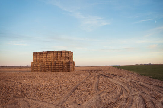 Haystacks in countryside field