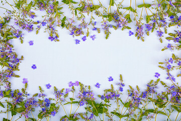 Obraz na płótnie Canvas Frame of blue wildflowers on a blue background, copy space