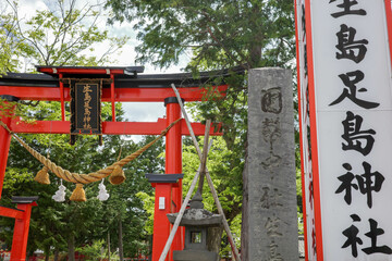 新緑と赤い鳥居