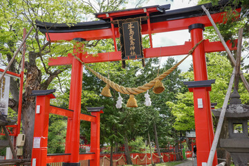新緑と赤い鳥居