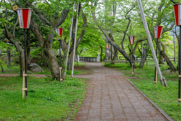 新緑の木々と公園の道