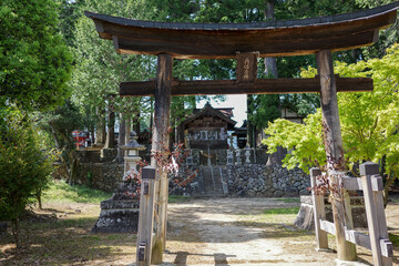 新緑の木々と神社の鳥居