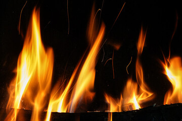 Fire on burning wooden logs