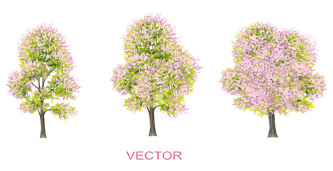 Vector watercolor blooming flower tree side view isolated on white background for landscape and architecture drawing, elements for environment and garden,botanical elements