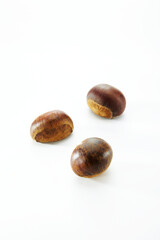 Closeup of chestnut on white background