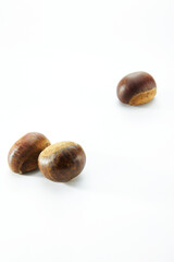 Closeup of chestnut on white background