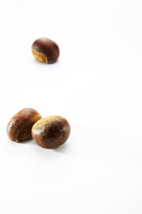 Closeup of chestnut on white background