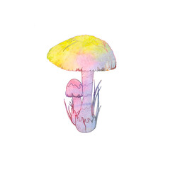 Rainbow colored mushrooms isolated on white. Autumn nature. Single element. Watercolors.