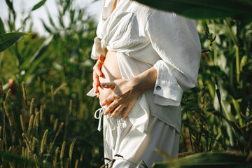 Cropped photo of a pregnant belly of woman in a field of green plant